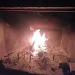 La Botica Del Lobo *