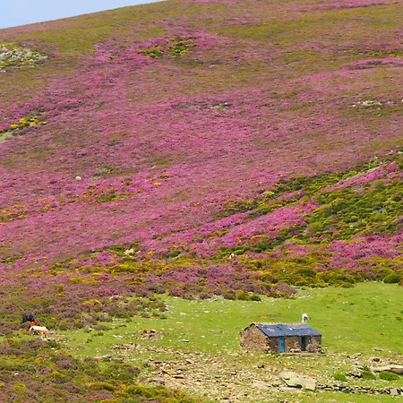 Vakantiehuis La Botica Del Lobo