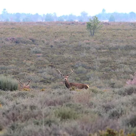 Nyaraló La Botica Del Lobo