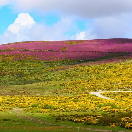 La Botica Del Lobo Vakantiehuis Villardeciervos