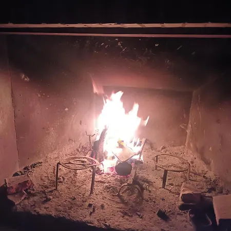 La Botica Del Lobo *