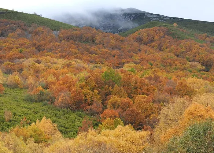 Vakantiehuis La Botica Del Lobo Villardeciervos