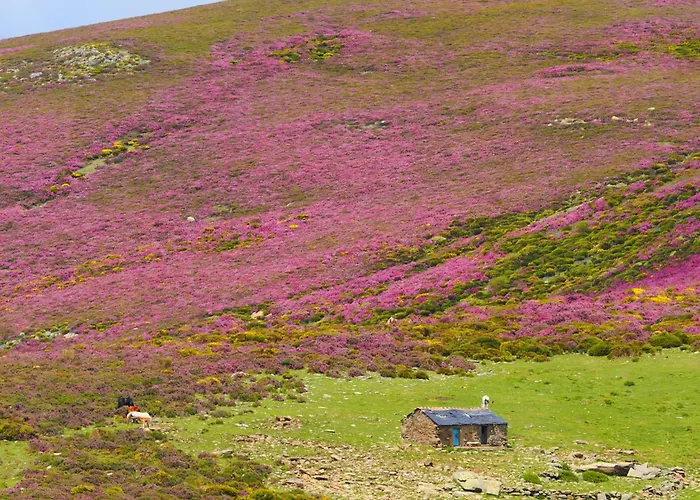 Vakantiehuis La Botica Del Lobo