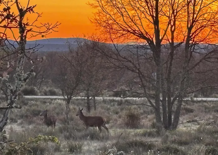 La Botica Del Lobo * Villardeciervos