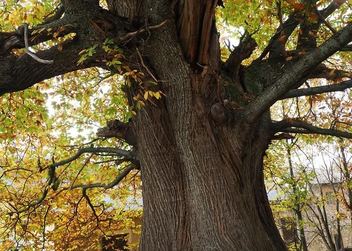 La Botica Del Lobo Vakantiehuis *
