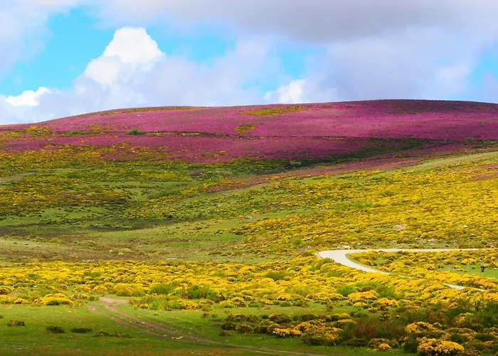 La Botica Del Lobo Vakantiehuis Villardeciervos
