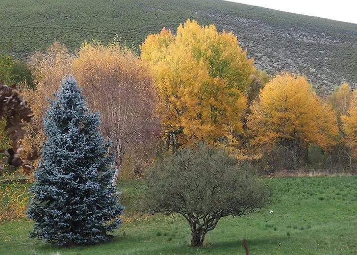 La Botica Del Lobo *